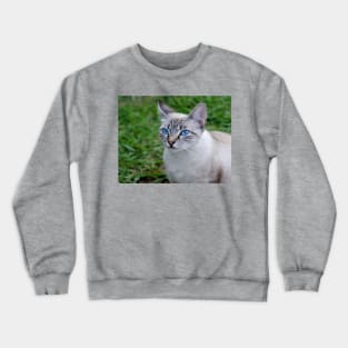 Blue eye cat Crewneck Sweatshirt